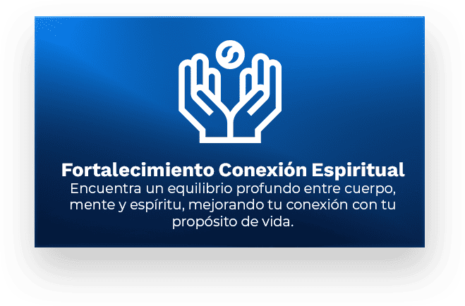 fortalecimiento conexión